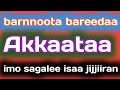 Barnnoota Bareedaa Akkaataa Imo Teenyaa Sagalee Isaa Jijjiiran
