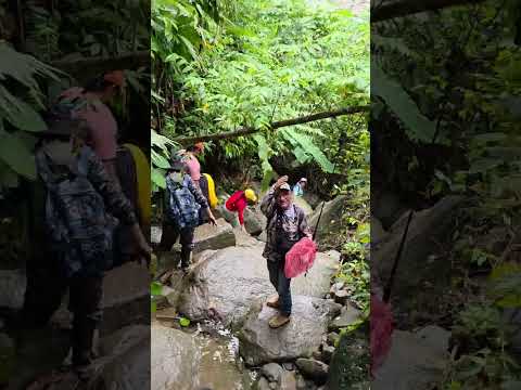 pescadores 🐠🐟🎣 municipio de Entrerrios norte Antioquia 🐠🐟🎣  subienda en el rio cauca #hidroituango