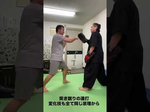 テコンドーと軸・支点操作／体幹の二軸・体幹の横の二軸