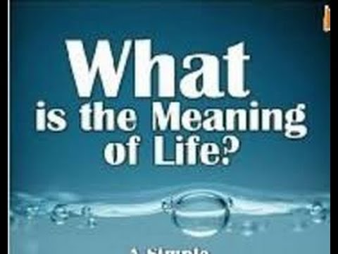 Is there any meaning to life? Part 10 (Forgiveness is not enough)