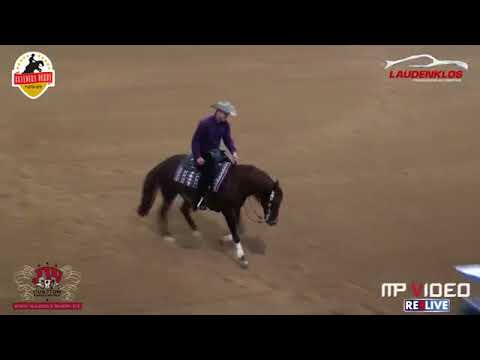 NRHA Breeders Derby Champion 2018 WAlla Whiz Crome Dominik Reminder Score 225