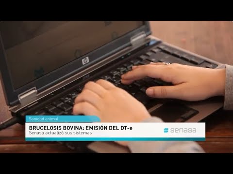 SENASA refuerza los controles para el traslado de bovinos susceptibles a brucelosis