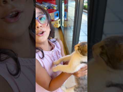 Çok sevdik bu kediyi biz 😿😸😻🍦🍧🍭