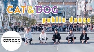 Download lagu [KPOP IN TXT LA SHOWCASE] TXT 투모로우바이투게더 - Cat & Dog 냥앤멍 Public Dance by Koreos mp3