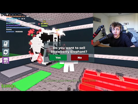 i sold steak's best brainrot