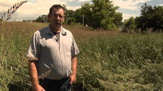 preview picture of video 'GLA Virtual Watershed Tour: Hill Creek'