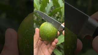 NÃO CONHECIA ESSE LIMÃO !! #shorts #viral #dicas #food #fruits #lemon