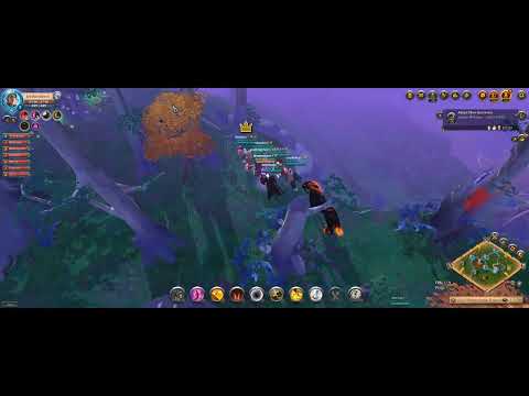 BOOST MOOSE w Soya / Cz