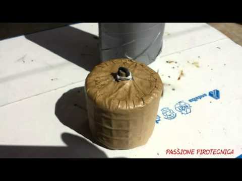 3" INCH CYLINDER SHELL TIGER TAIL / D1 GLITTER