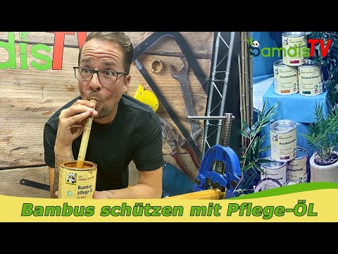 Bambus Pflege? 🎋 Easy! So einfach geht’s