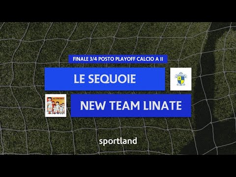 HIGHLIGHTS • Finale 3/4 posto Playoff Calcio a 11 • Le Sequoie vs New Team Linate