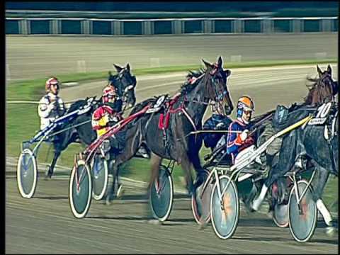 Trotto 04/11/2016 - 5ª corsa