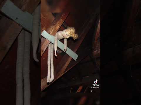 Creepy Things Found In Peoples Houses 😳 #shorts