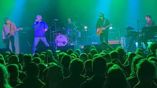 Charlatans UK Tremelo Song