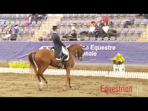 Elliot Patterson and Leandro FEI Young Rider Freestyle CDI-Y Sydney CDI 2012