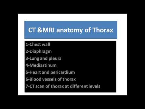 1 CT &MRI anatomy of thorax 1