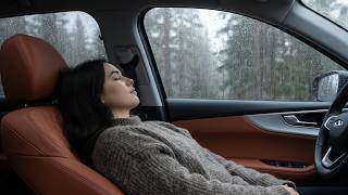 É impossível não relaxar! Barulho de chuva na floresta em uma noite fria para dormir em instantes!