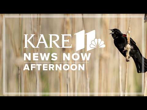 Kare 11
