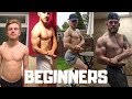 HOW TO BUILD MUSCLE AS A BEGINNER: Training Edition