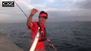 ワインドでタチウオ爆釣！釣り方とルアー選び