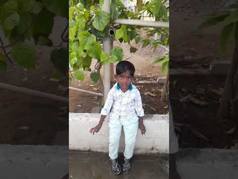 kaivesamma kaivesu  song