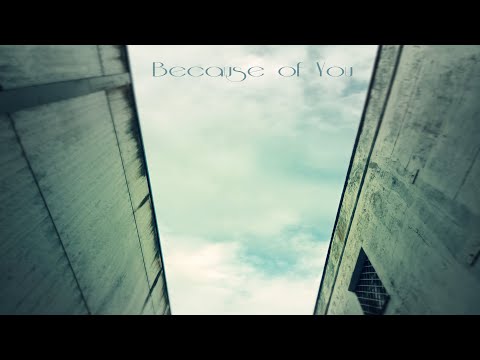 Non Somnia - Because of You (single)