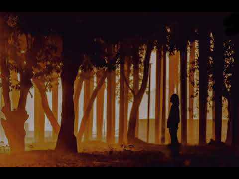 Nijeke Harabar Bhoy | Shishir ft. Rafa | নিজেকে হারাবার ভয় | Lyrical Video