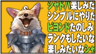 【検証】カード効果を『確認せず』に記憶だけでシャドウバースは出来るのか？ - Shadowverse