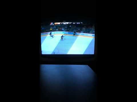 Anaheim Ducks vs Pittsburgh Penguins 11/18/2013 part 3