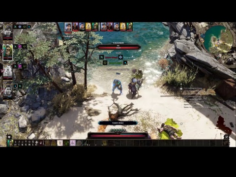 Divinity: Original Sin 2 Shenanigans 4 player co-op