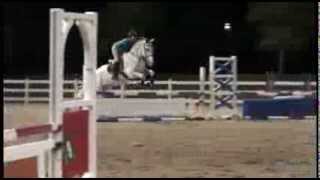 Drop that bitch on her head like bang, horse show edition