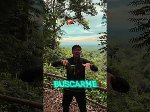 Amazonia Ecuador #amazoniaecuatoriana #artista #napo #tena #ecuador