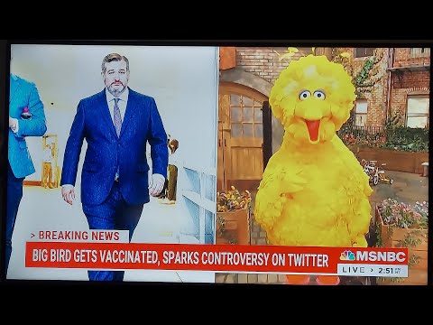 Ted Cruz vs Sesame Street