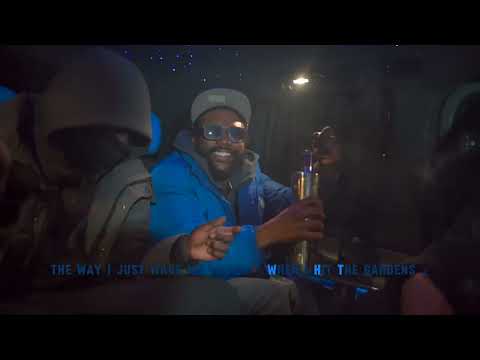 Dizzle - Reality Check 📋