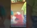 Sesame Street Org