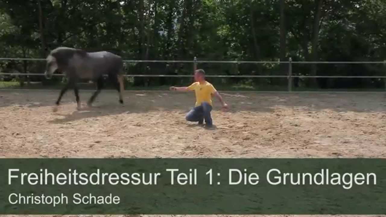 Die Grundlagen der Freiheitsdressur | Christoph Schade
