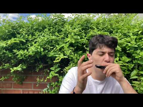 Armónica beatbox-Juan Pablo san Cristobal- chile 🇨🇱