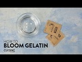 How to Bloom Gelatin | Cuisine at Home