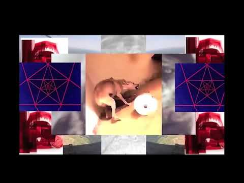 Everlast - The Culling (Official Video)