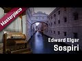 Video 2: Synchron Masterpiece: Sospiri - Edward Elgar