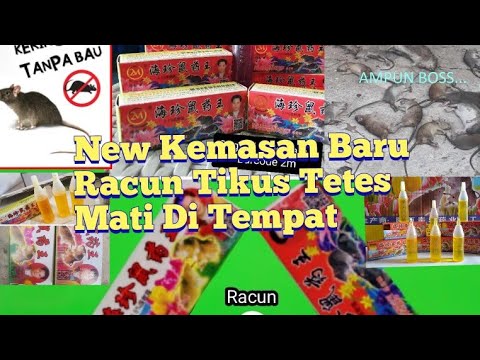 Ini Dia !!! Macam-Macam Racun Tikus Tetes/Cair. Yang Wajib Anda Ketahui.