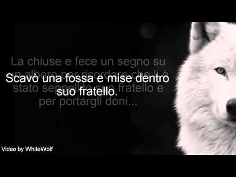 STORIA DI DUE LUPI - TheWolves