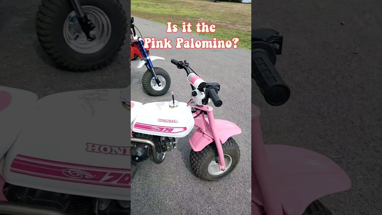 Custom ATC 70 Builds Are EXPENSIVE!!  #honda #custom #mini