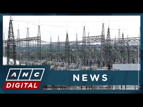 Boiler tube leak blamed for forced outage of power plants in PH ANC
