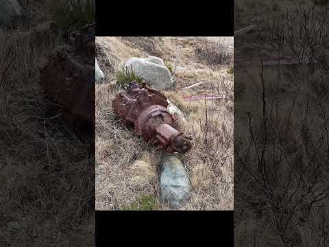 Abandoned Flathead Ford V8 | should I save it? #ford #flathead