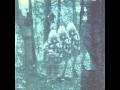 Be Forest - NTR 