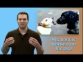 Express Yourself #08 "His bark is worse than his bite"