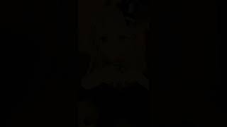 ニンゲン、今日も1日おつかれさま #shorts