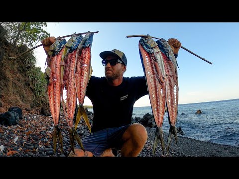 A solo camping CATCH AND COOK MISSION. Which fish taste better?