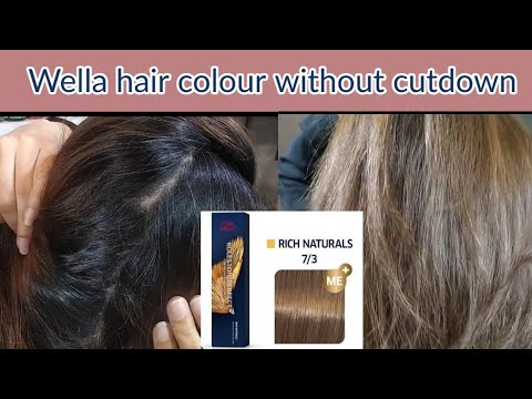 Wella hair colour || Hair colour at Home || Wella koleston how to use || Real Beauty Secrets
